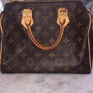 Louis Vuitton Speedy 25 handbag